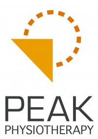 Practice Logo